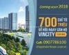 vincity-1-buoc-cham-uoc-mo - ảnh nhỏ  1