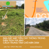 ban-dat-mat-tien-cay-thong-trong-tien-kinh-doanh - ảnh nhỏ  1