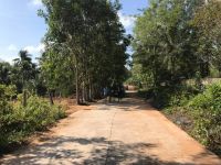 Đất nền cây thông trong 1 tỷ/nền (Thương lượng )