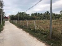 Bán đất khu Ông Lang xã Cửa Dương Phú Quốc cách biển 600m
